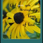 Brown-eyed Susans