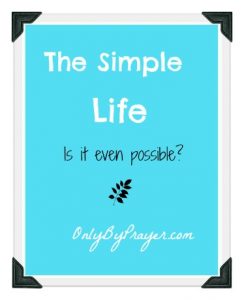 Simple Life Possible Pin