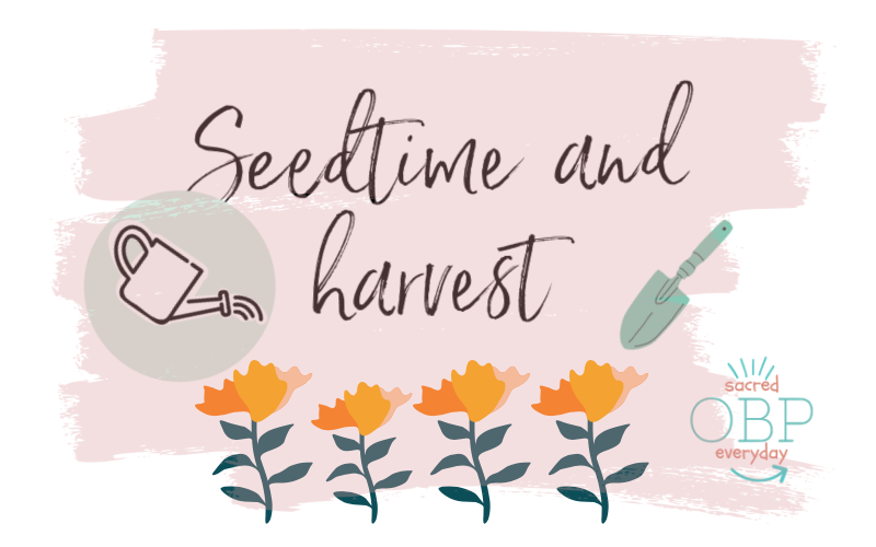 seedtime and harvest