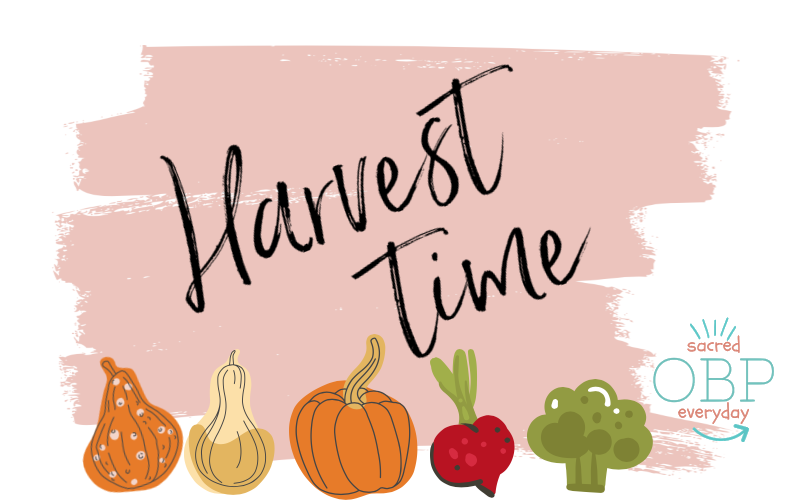 harvest time