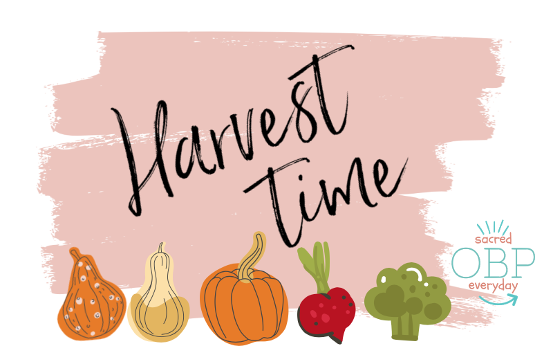 Harvest Time by Mary Kane