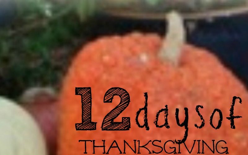 12 Days of Thanksgiving: Day 9, Discipleship